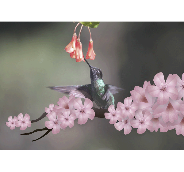 Animals wall mural hummingbird and flowers - TenStickers