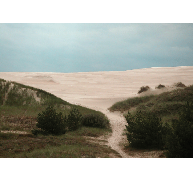 Landscape wall mural sandy dune path - TenStickers