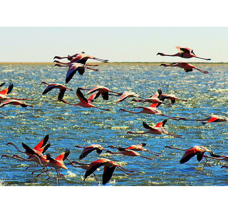 Animals wall mural flying flamingos group - TenStickers