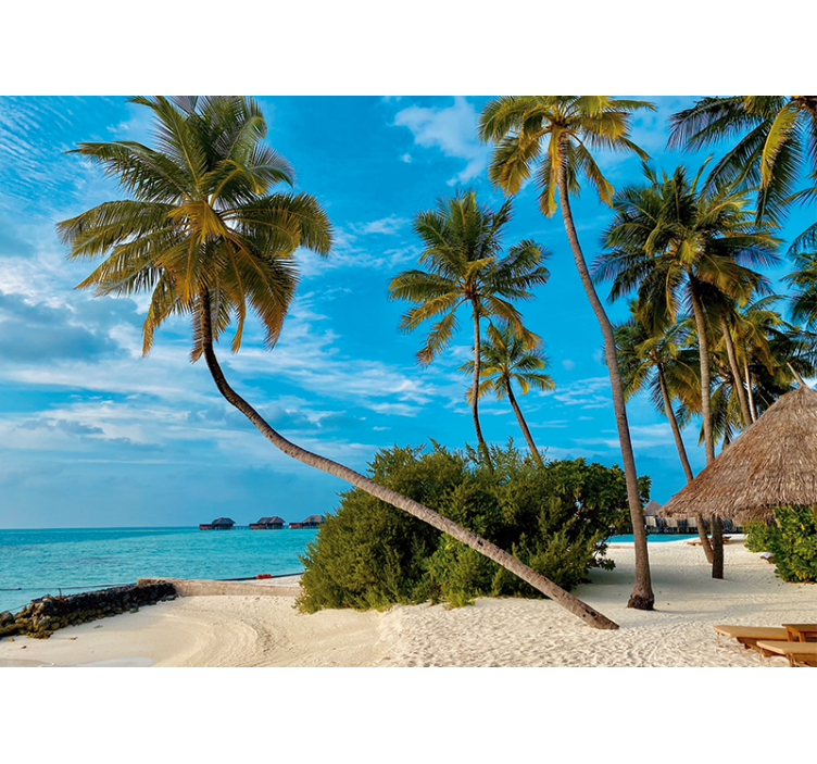 Wall mural nature tropical palm landscape - TenStickers