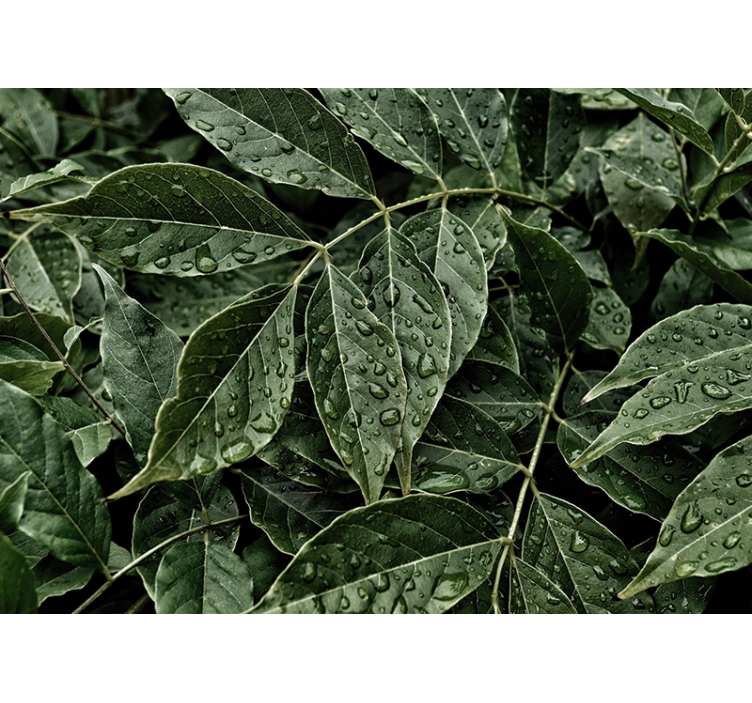 Wall mural nature vibrant foliage design - TenStickers