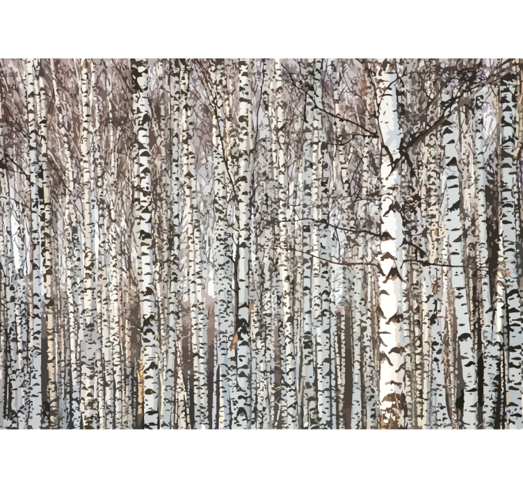 Wall mural trees birch tree forest - TenStickers