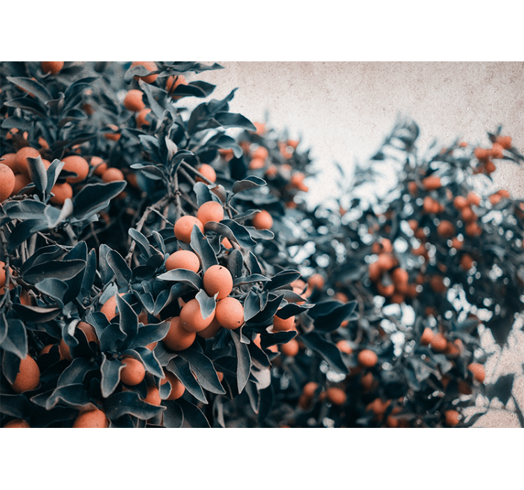 Flower wall mural citrus fruit branch design - TenStickers