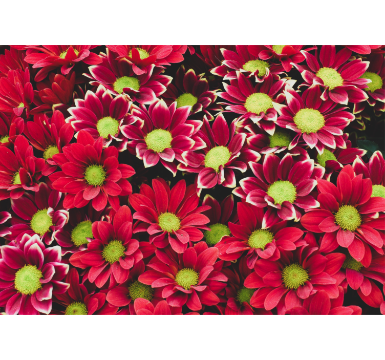Crimson blossom composition flower wall mural - TenStickers