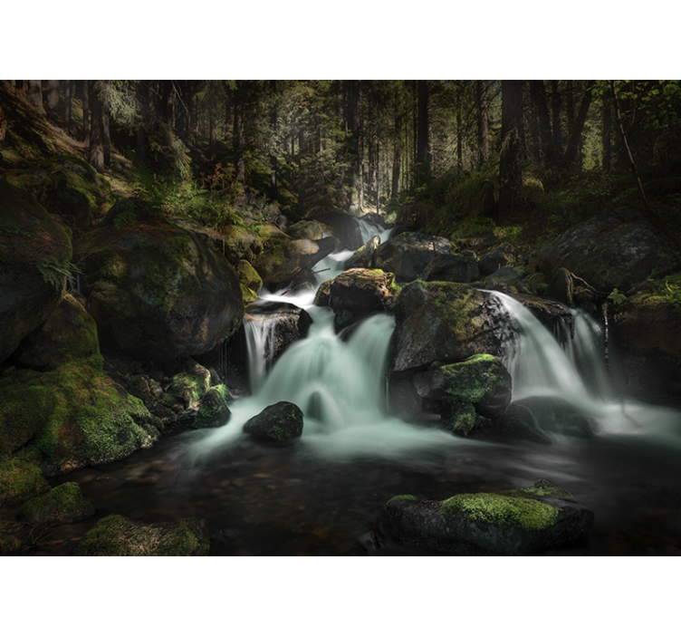 Wall mural waterfall tranquil forest stream - TenStickers