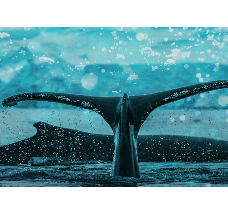 Animals wall mural whale fluke splash - TenStickers