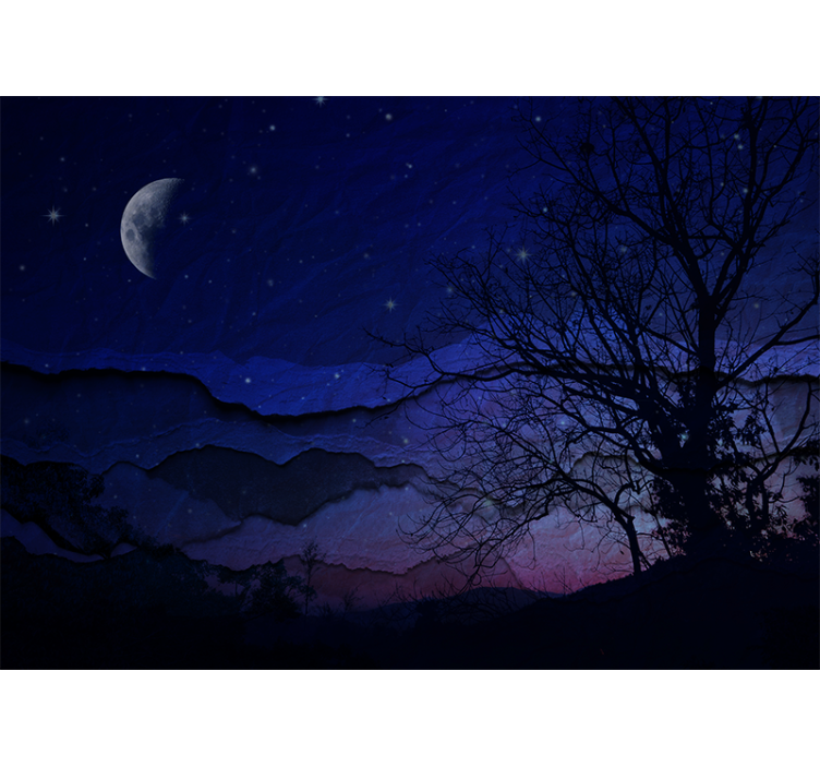 Sky wall mural moonlit night sky - TenStickers
