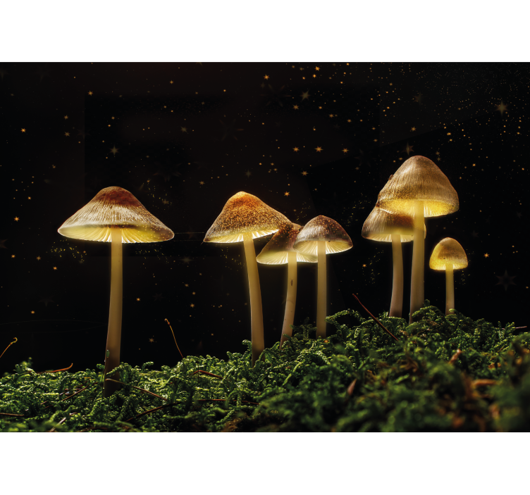 Wall mural nature glowing mushroom forest - TenStickers