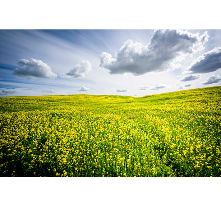 Wall mural nature vast green meadow - TenStickers