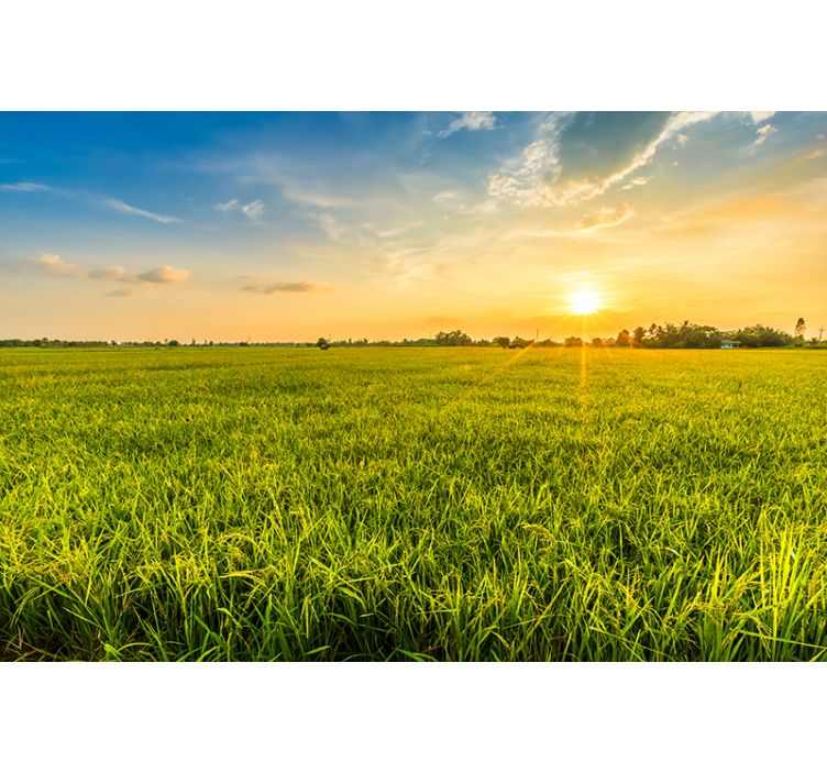 Landscape wall mural sunset over greenfields - TenStickers