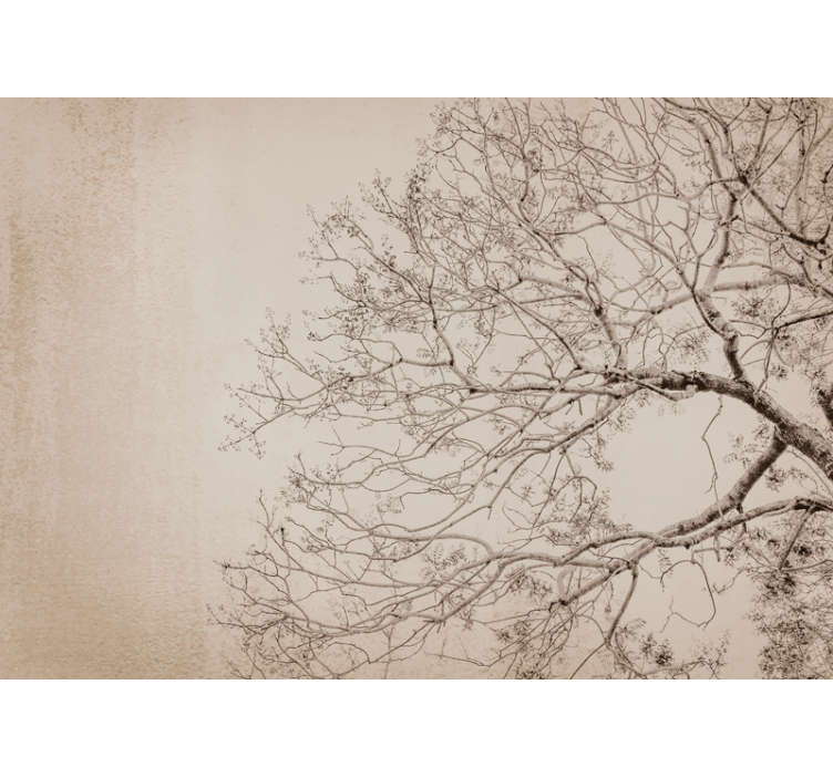 Wall mural trees beautiful branching silhouette - TenStickers