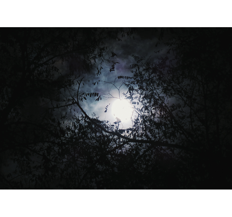 Wall mural nature moonlit branches - TenStickers