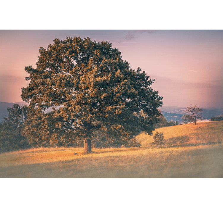 Wall mural nature grand oak tree - TenStickers