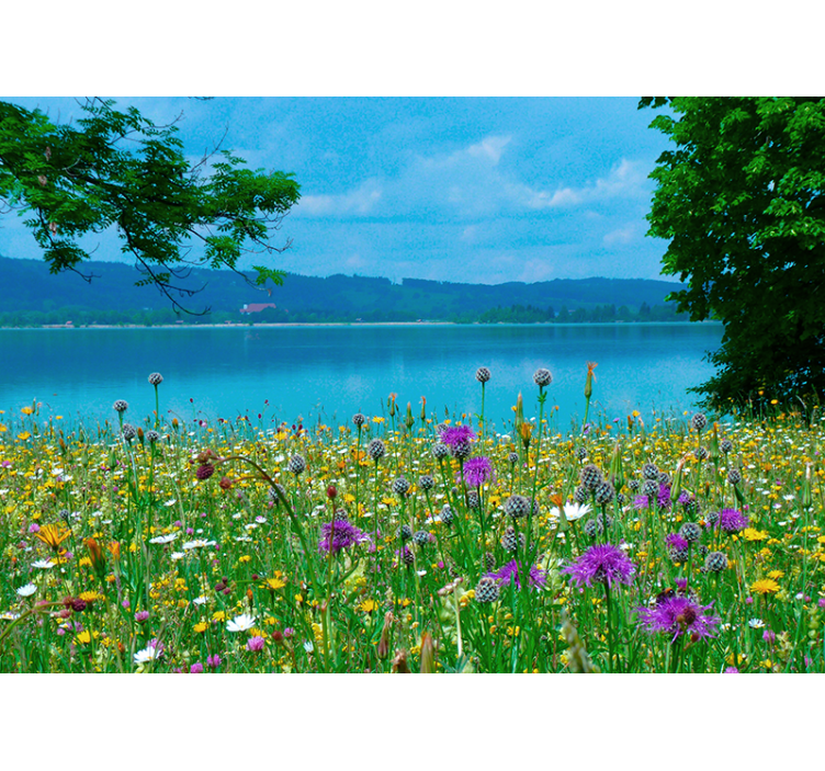 Flower wall mural lush meadow flora - TenStickers