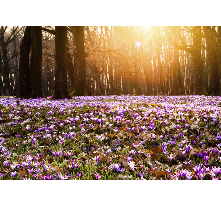 Sunlit flower meadow flower wall mural - TenStickers