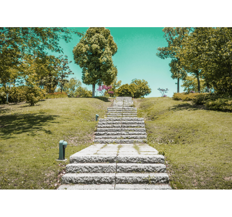 Wall mural nature staircase in the woods - TenStickers