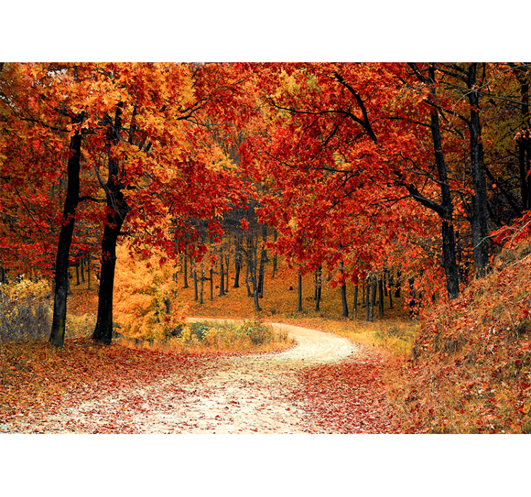 Wall mural nature autumn woodland pathway - TenStickers