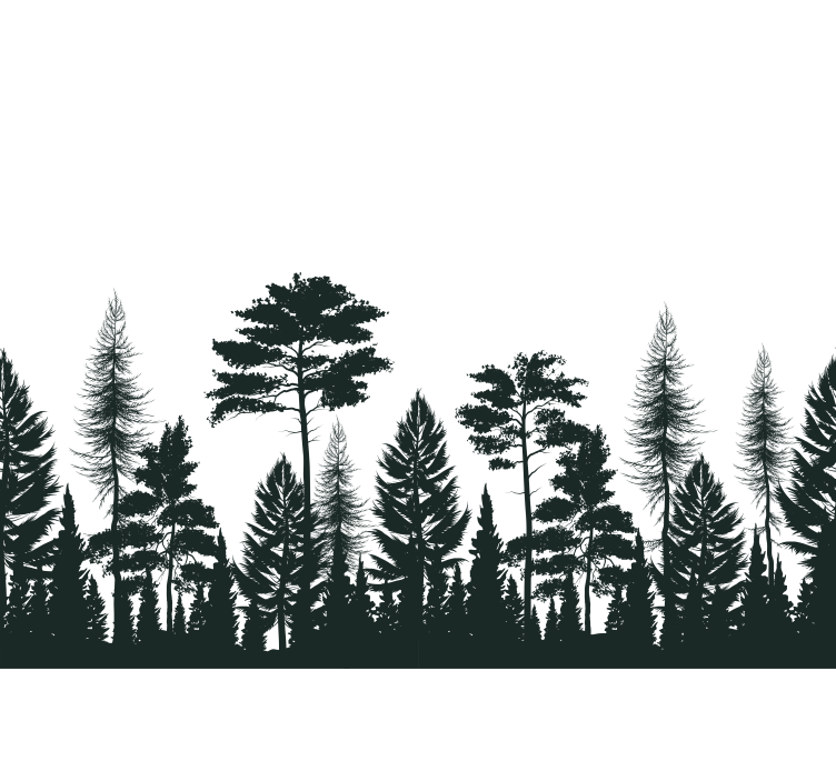 Wall mural nature silhouetted evergreen trees - TenStickers