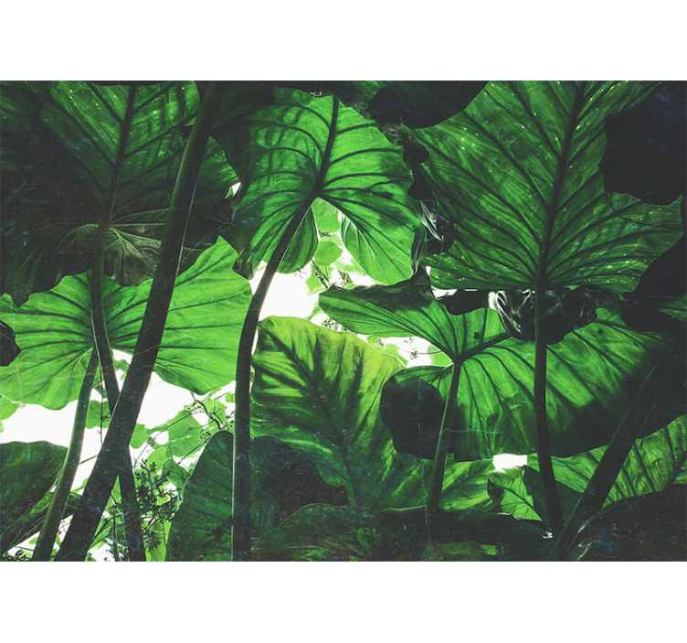 Wall mural nature lush leaf canopy - TenStickers