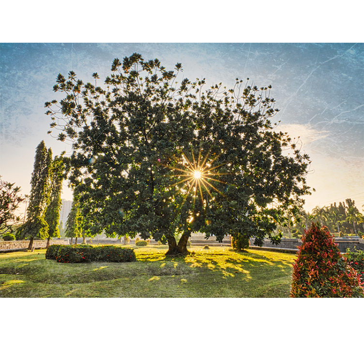 Wall mural nature sunny tree view - TenStickers