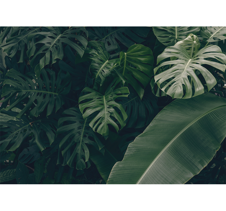 Wall mural nature lively tropical foliage - TenStickers