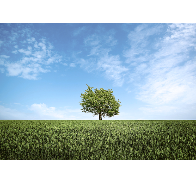 Wall mural nature solitary tree landscape - TenStickers