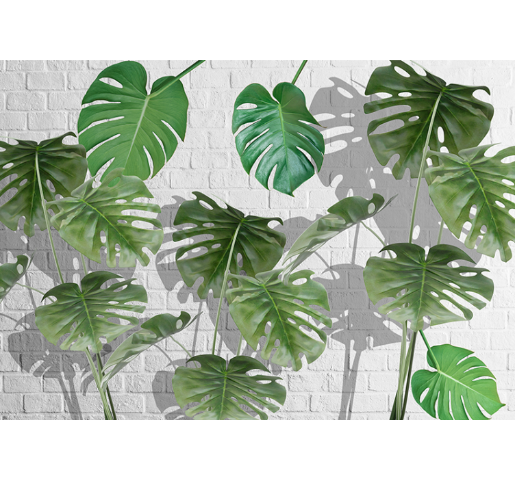 Wall mural nature monstera leaf design - TenStickers
