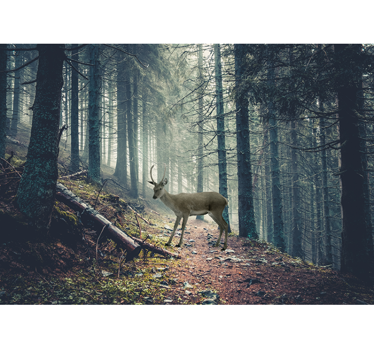 Forest wall mural stag in woodland - TenStickers