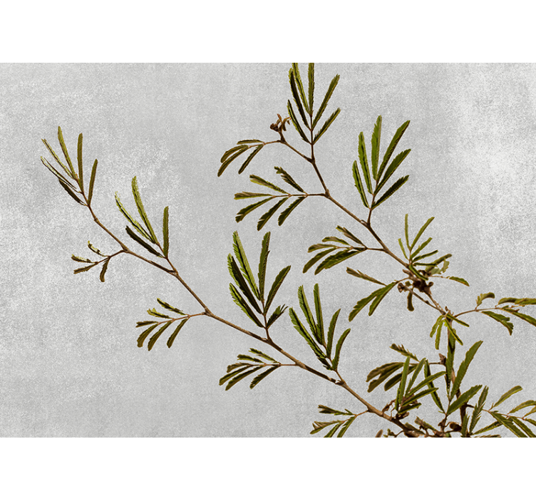 Delicate Greenery Branch wall mural nature - TenStickers