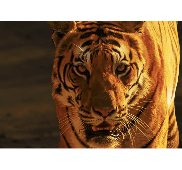 Lion wall mural majestic tiger stare - TenStickers