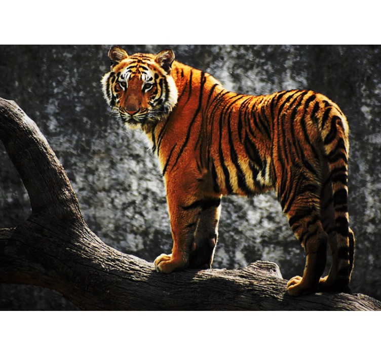 Animals wall mural regal tiger pose - TenStickers