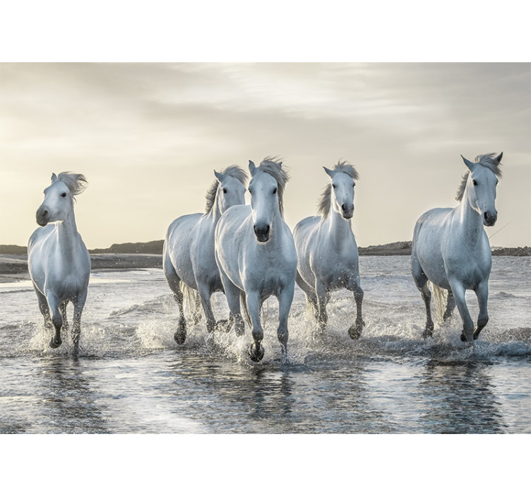Animals wall mural galloping white stallions - TenStickers