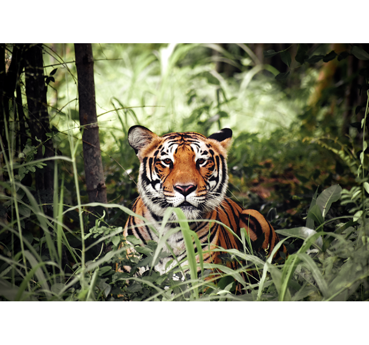 Animals wall mural regal tiger adventure - TenStickers