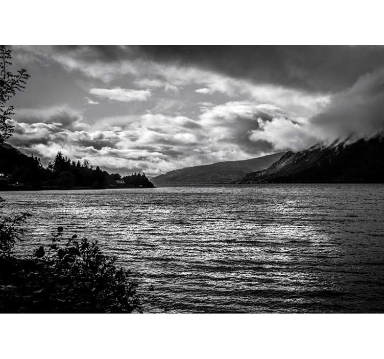 Monochrome Lake View landscape wall mural - TenStickers