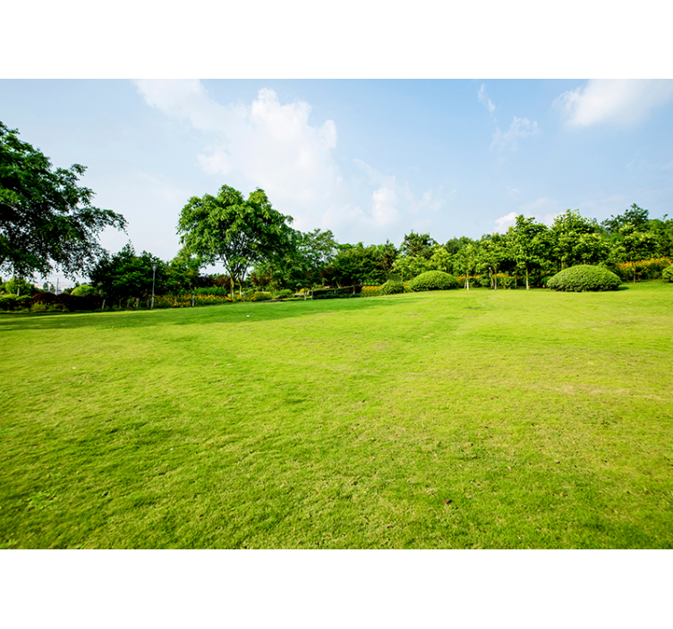 Verdant Meadow Panorama wall mural nature - TenStickers