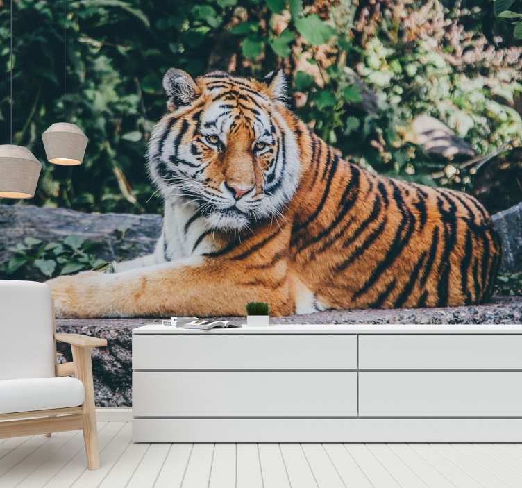 3D tiger lying on a rock wall mural - TenStickers