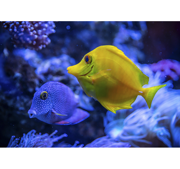 blue and Yellow fishes sea wall mural - TenStickers