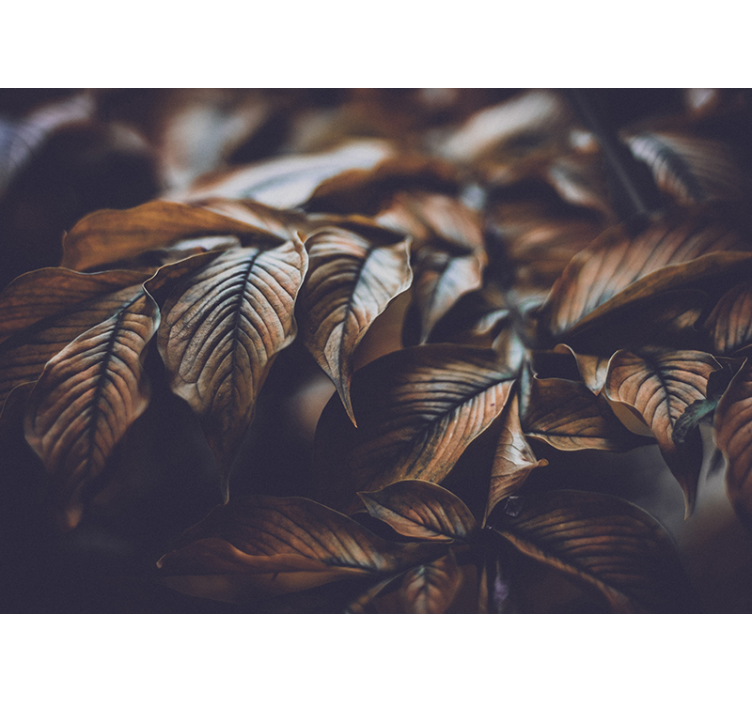 Autumn Leaves Close-up flower wall mural - TenStickers