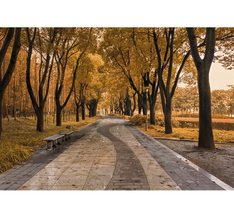 Landscape wall mural autumn tree path - TenStickers
