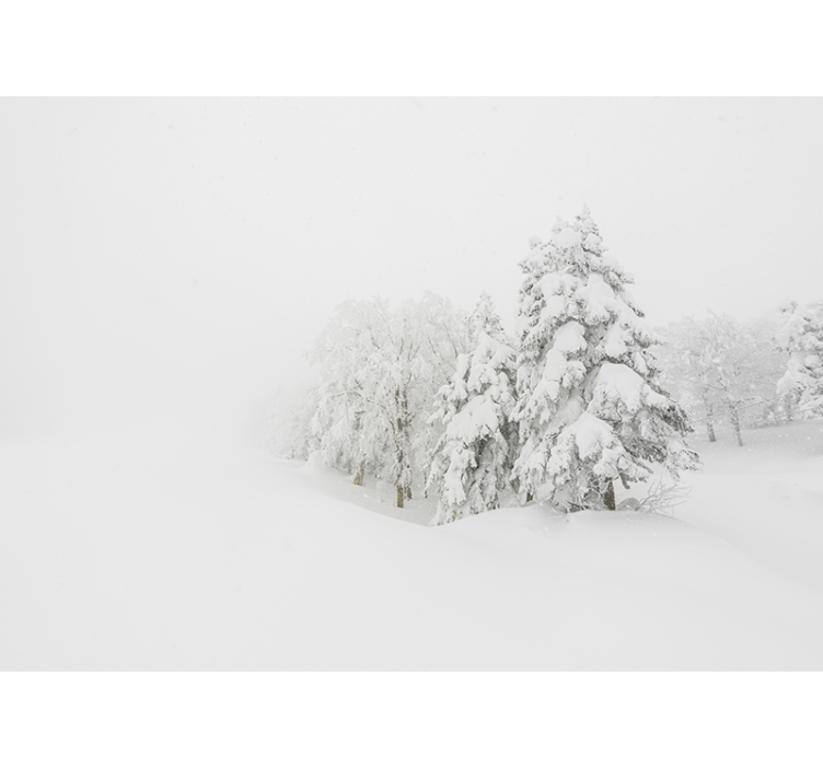 Wall mural nature winter forest landscape - TenStickers