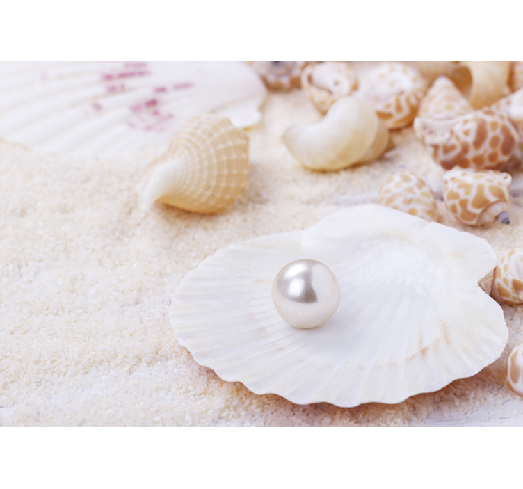 Wall mural nature shells with pearls - TenStickers