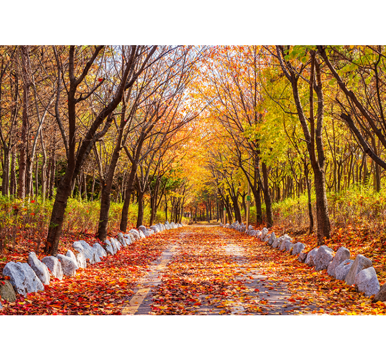Autumn tree forest wall mural - TenStickers