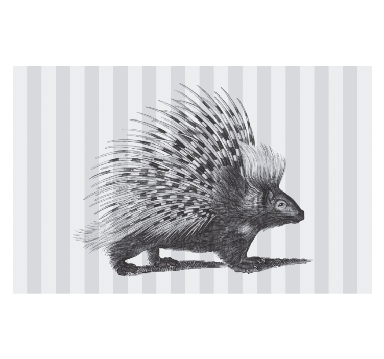 Animals wall mural porcupine quills design - TenStickers
