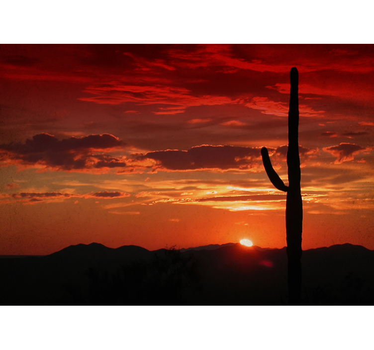 Cactus Sunset Shadow wall mural nature - TenStickers