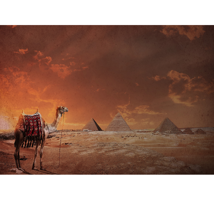 Pyramids and Camel landscape wall mural - TenStickers
