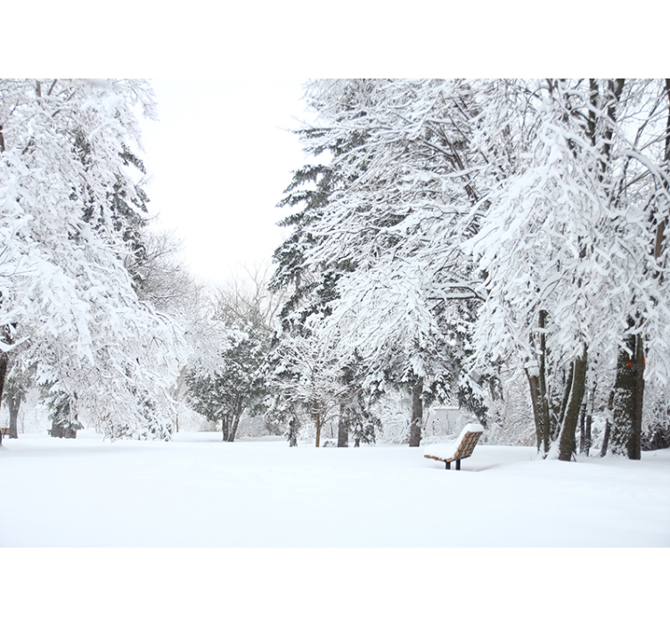 Wall mural nature tranquil winter landscape - TenStickers