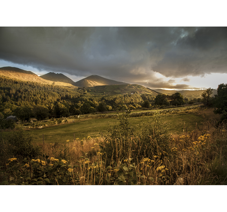 Irish countryside. nature wall mural - TenStickers