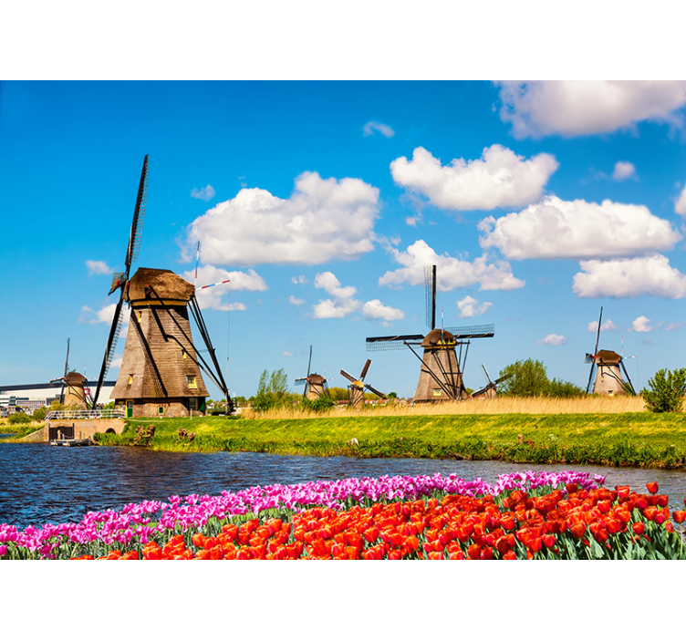 Windmills and Tulips city wall mural - TenStickers
