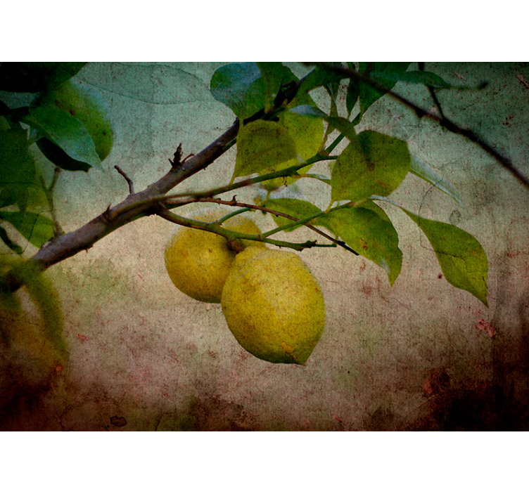 Wall mural nature lemon branch design - TenStickers