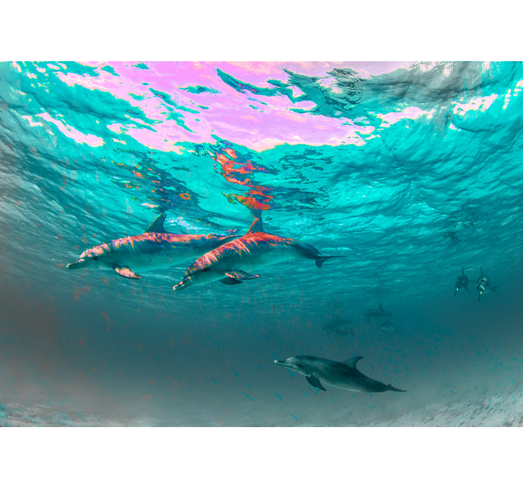 Animals wall mural dolphins swimming playfully - TenStickers